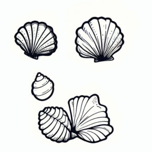 Denizkabukları boyama sayfası deniz yıldızı boyama sayfası, deniz boyama