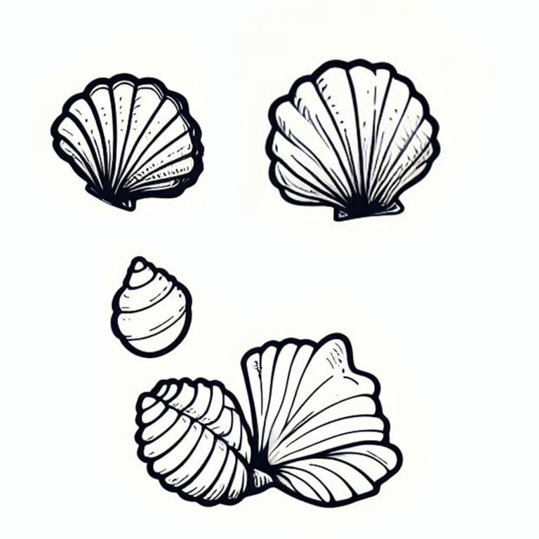 Denizkabukları boyama sayfası deniz yıldızı boyama sayfası, deniz boyama
